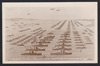 Various (Royal Navy)
