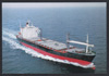 Lloyd Pacifico